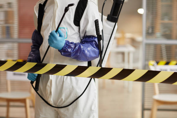 Professional Sewage Cleanup technician working in Pender, NE
